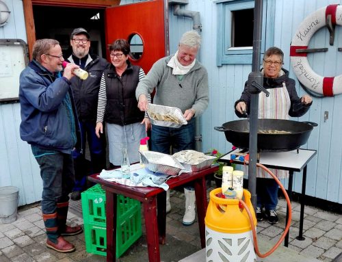 Sildene steges og snart forvandles de til sild i fløde- og løgsauce